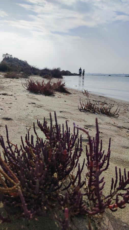 Fantastic 4 Cyprus First Line Beachfront Boghaz Exteriér fotografie
